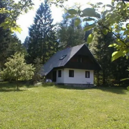 No. 5 *