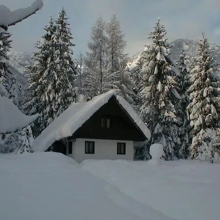 No. 5 * Bohinj