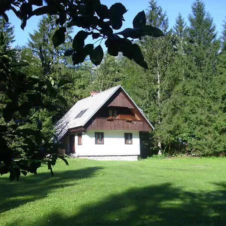 No. 5 *